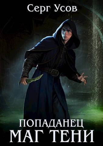 Попаданец. Маг Тени. Книга 6 (СИ)