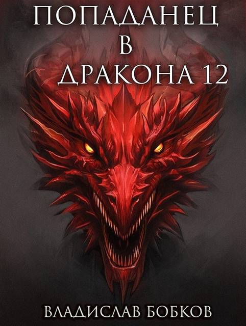 Попаданец в Дракона – 12