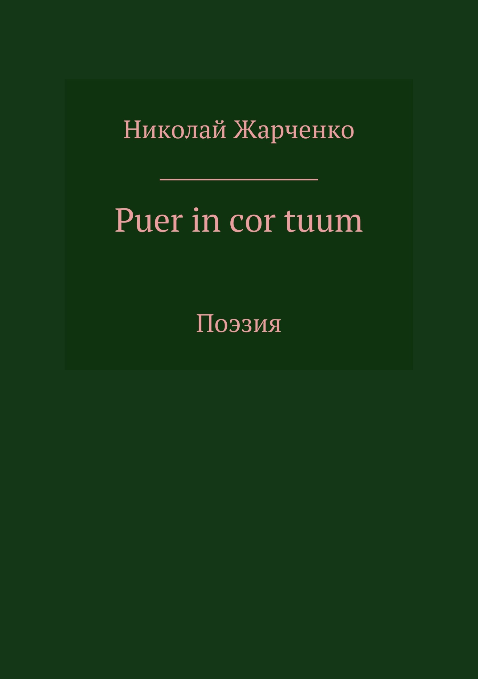 Puer in cor tuum. Сборник стихотворений
