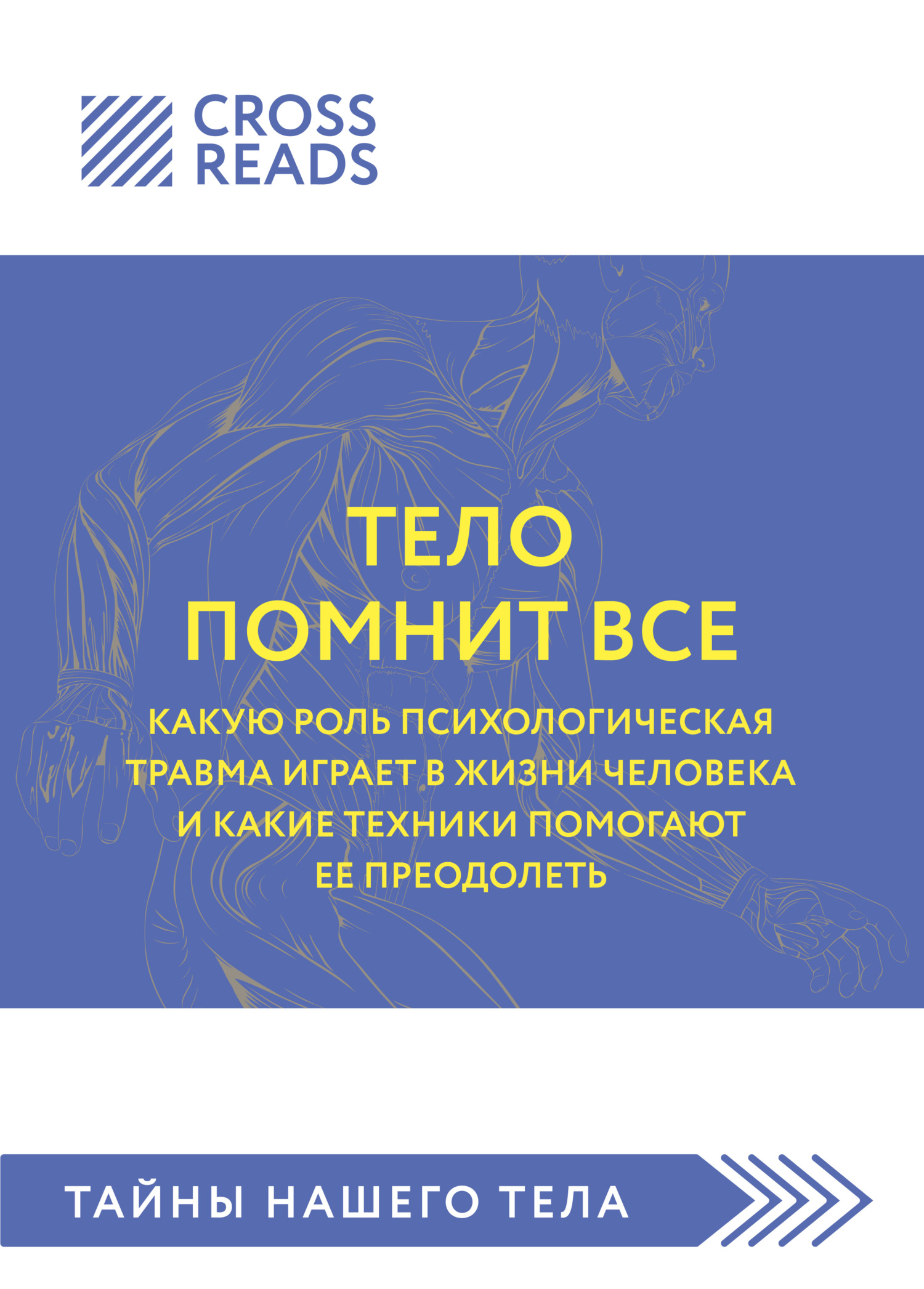 Саммари книги «Тело помнит все: какую роль психологическая травма играет в жизни человека и какие техники помогают ее преодолеть»