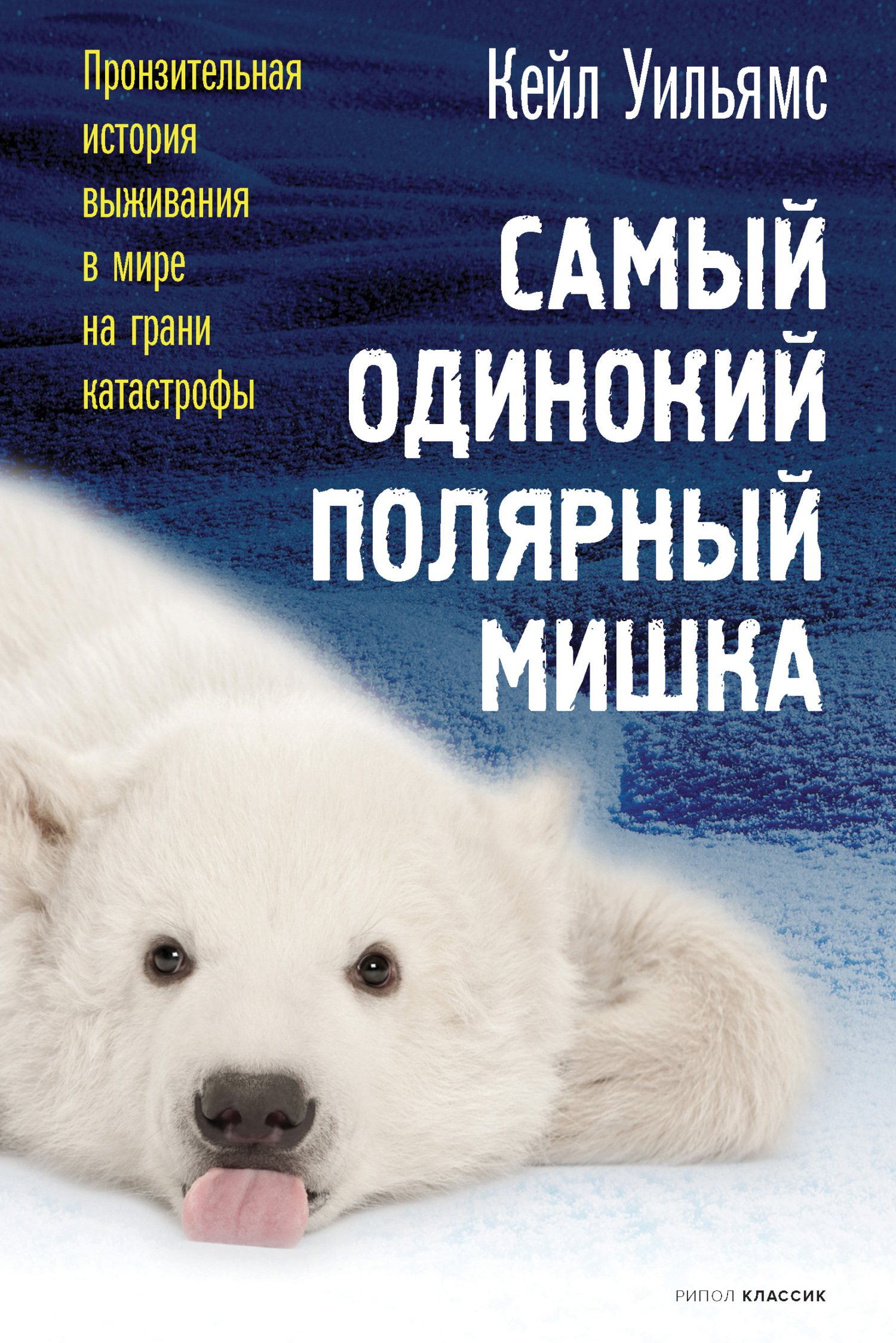 Самый одинокий полярный мишка