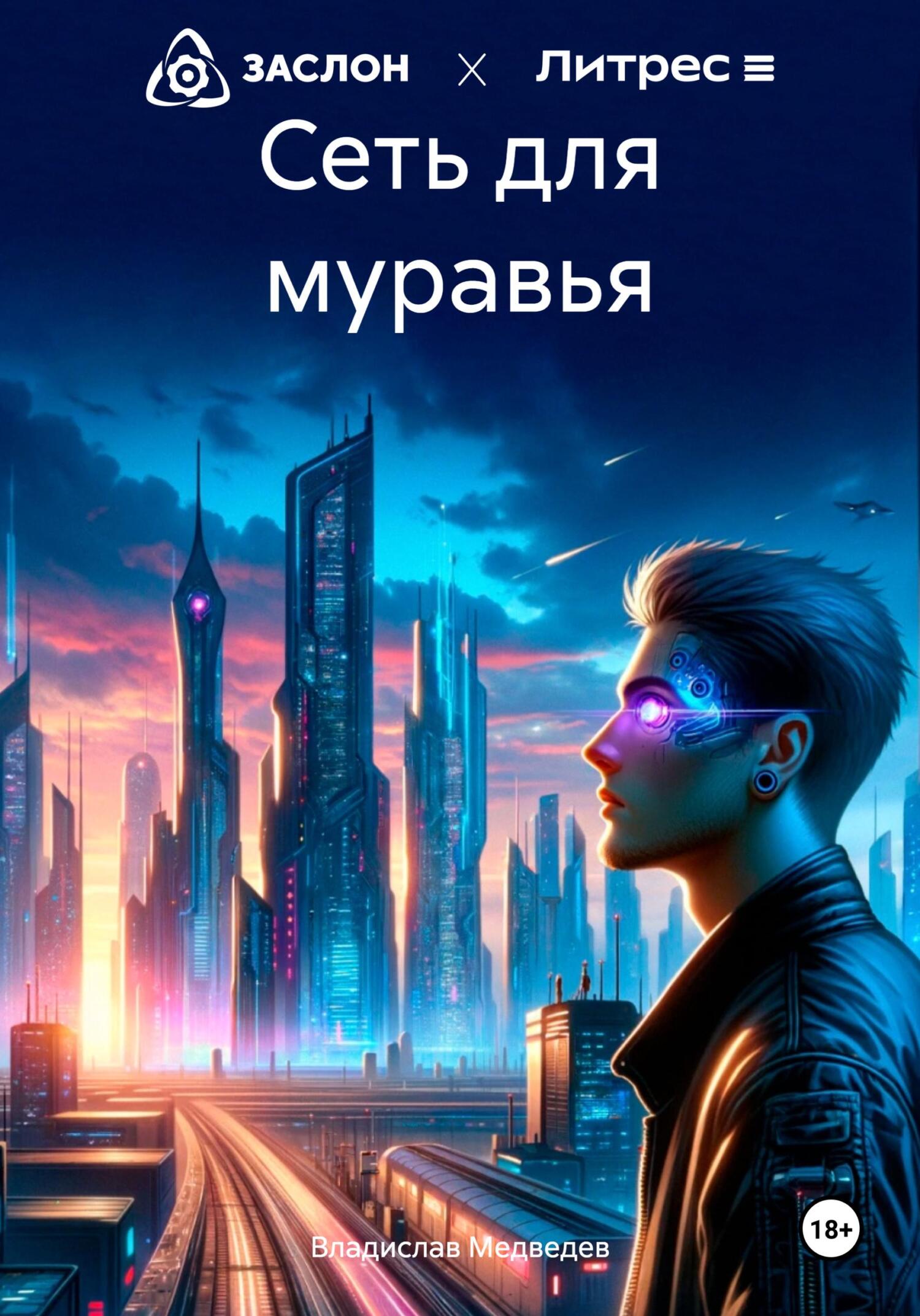 Сеть для муравья