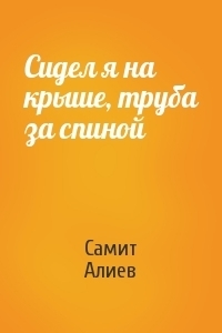 Сидел я на крыше, труба за спиной