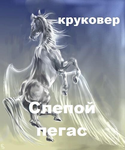 Слепой Пегас или БОМЖ с пистолетом (СИ)