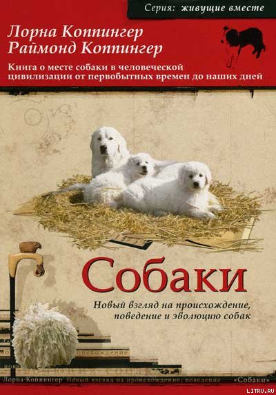 Собаки. Новый взгляд на происхождение, поведение и эволюцию собак