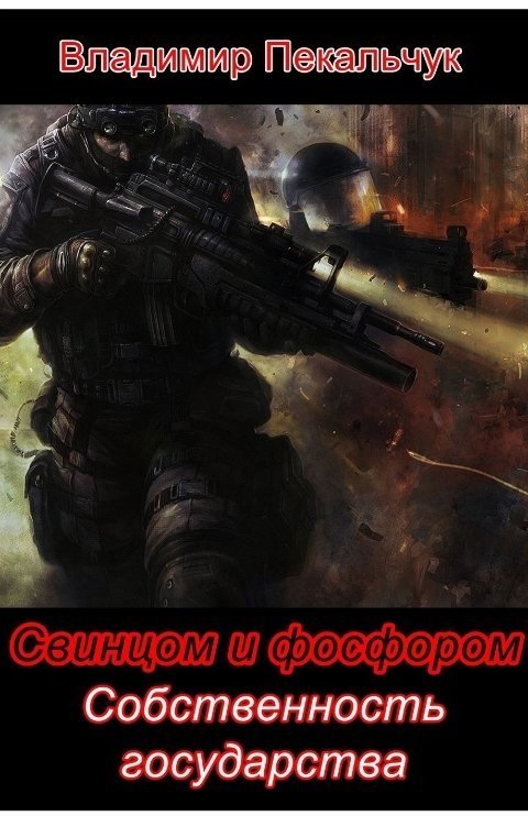 Собственность государства (СИ)