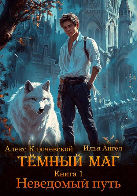 Темный маг. Книга 1. Неведомый путь