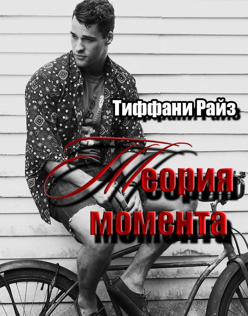 Теория момента (ЛП)