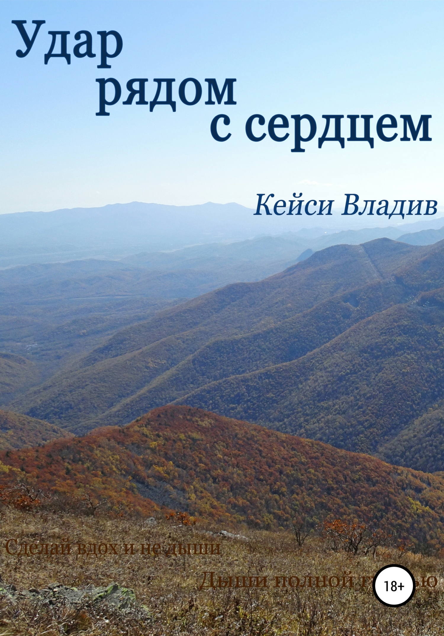 Удар рядом с сердцем