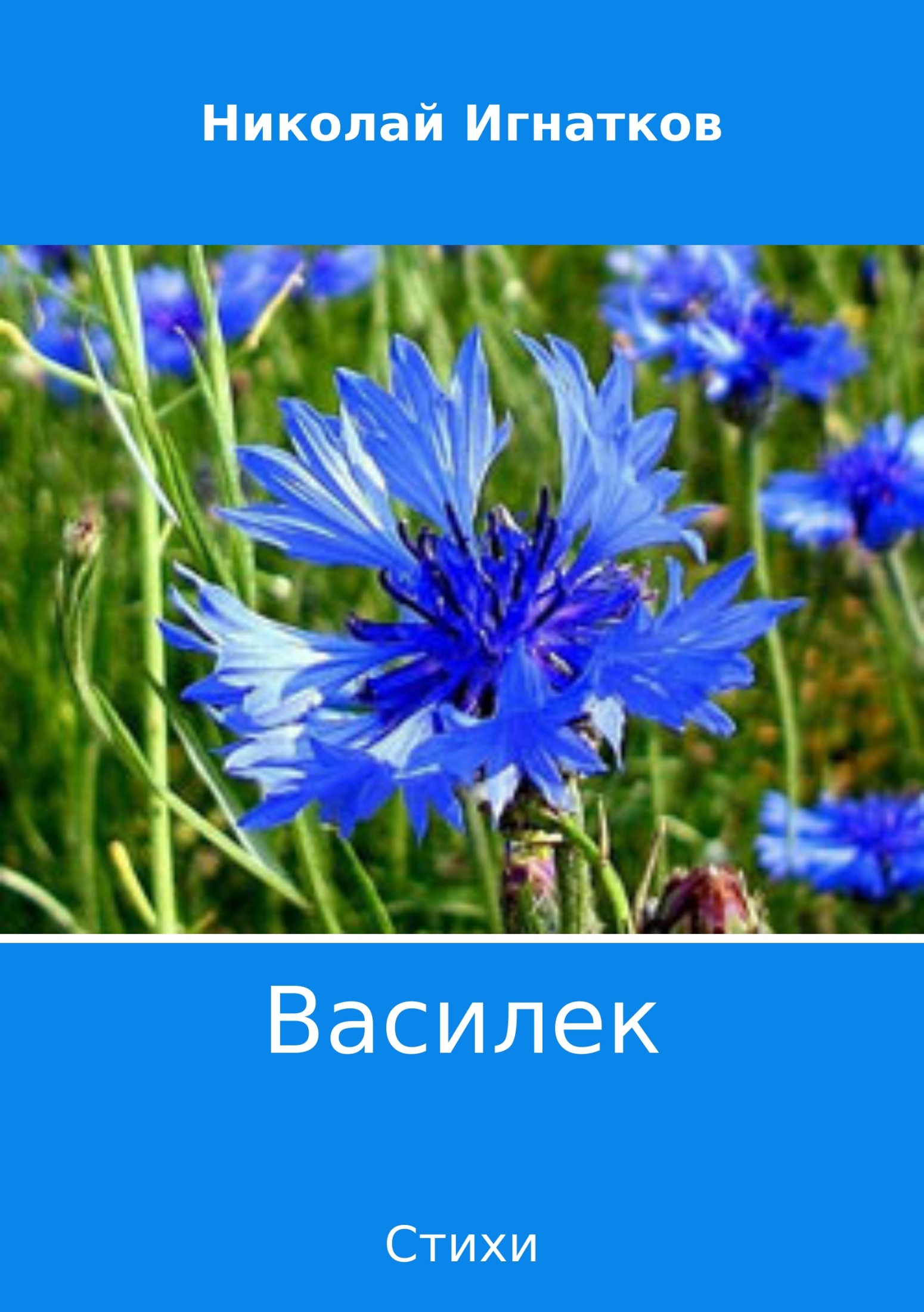 Василек. Сборник стихов