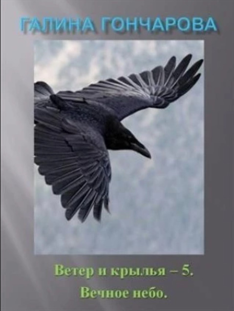 Ветер и крылья. Вечное небо (СИ)