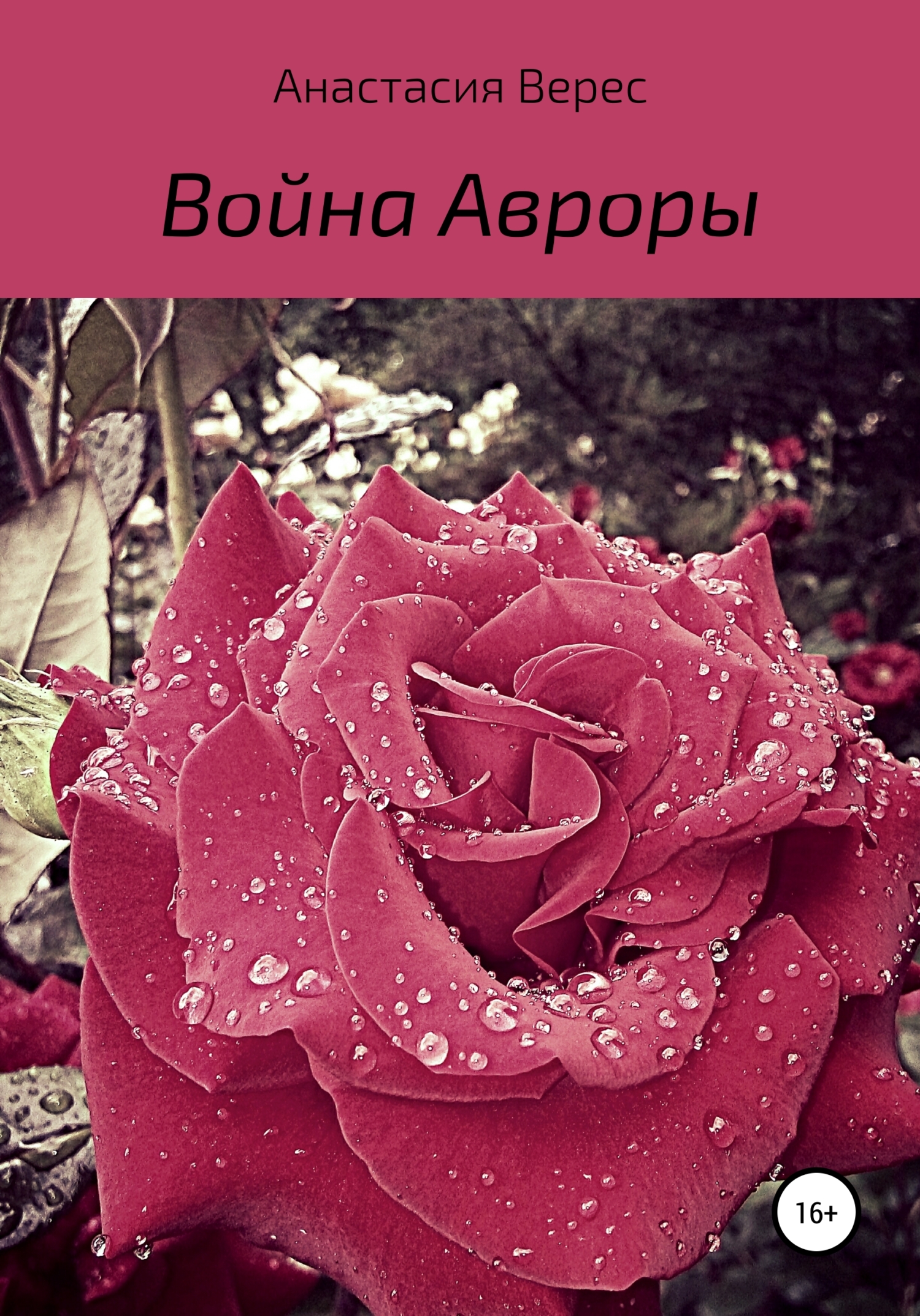 Война Авроры