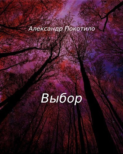 Выбор (СИ)