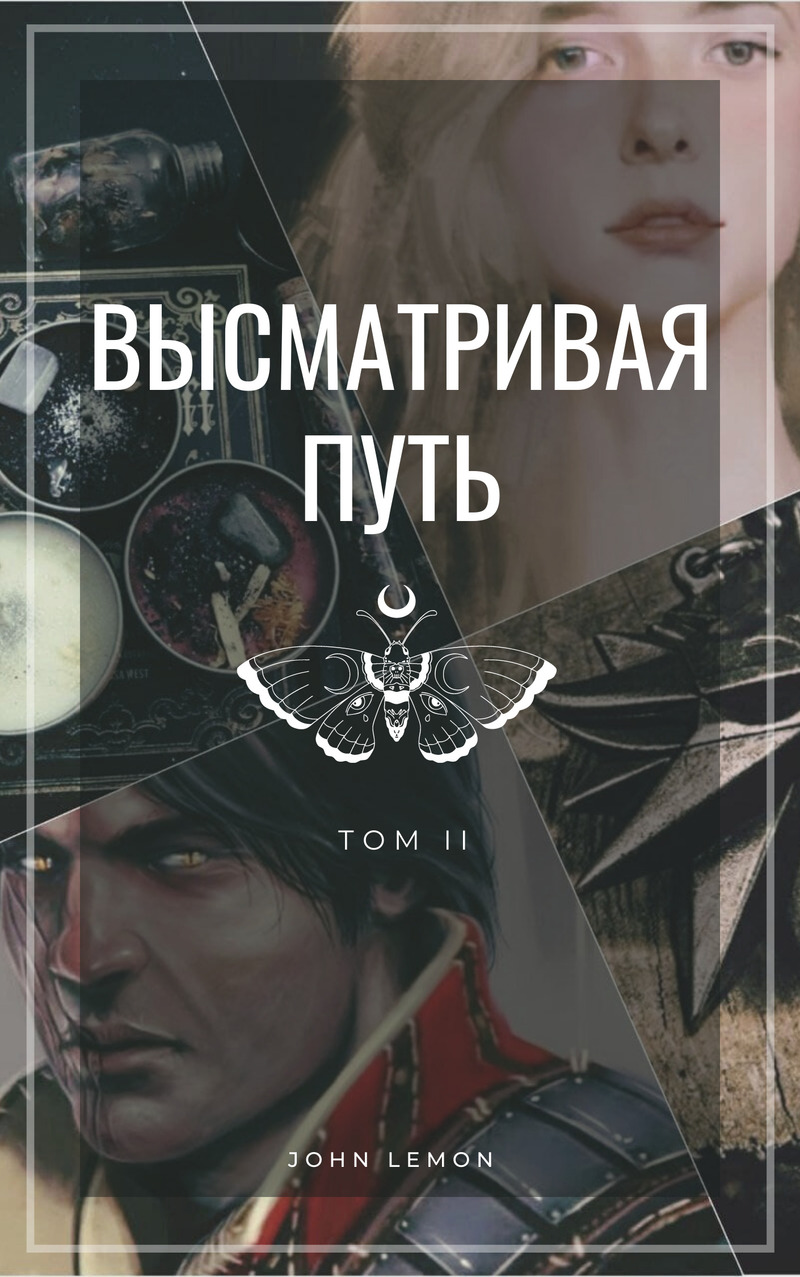Высматривая путь. Том II (СИ)