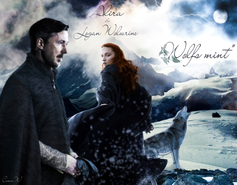 Wolf's mint (СИ)