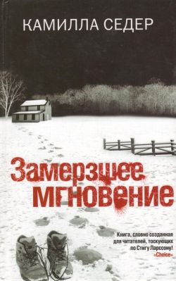 Замерзшее мгновение