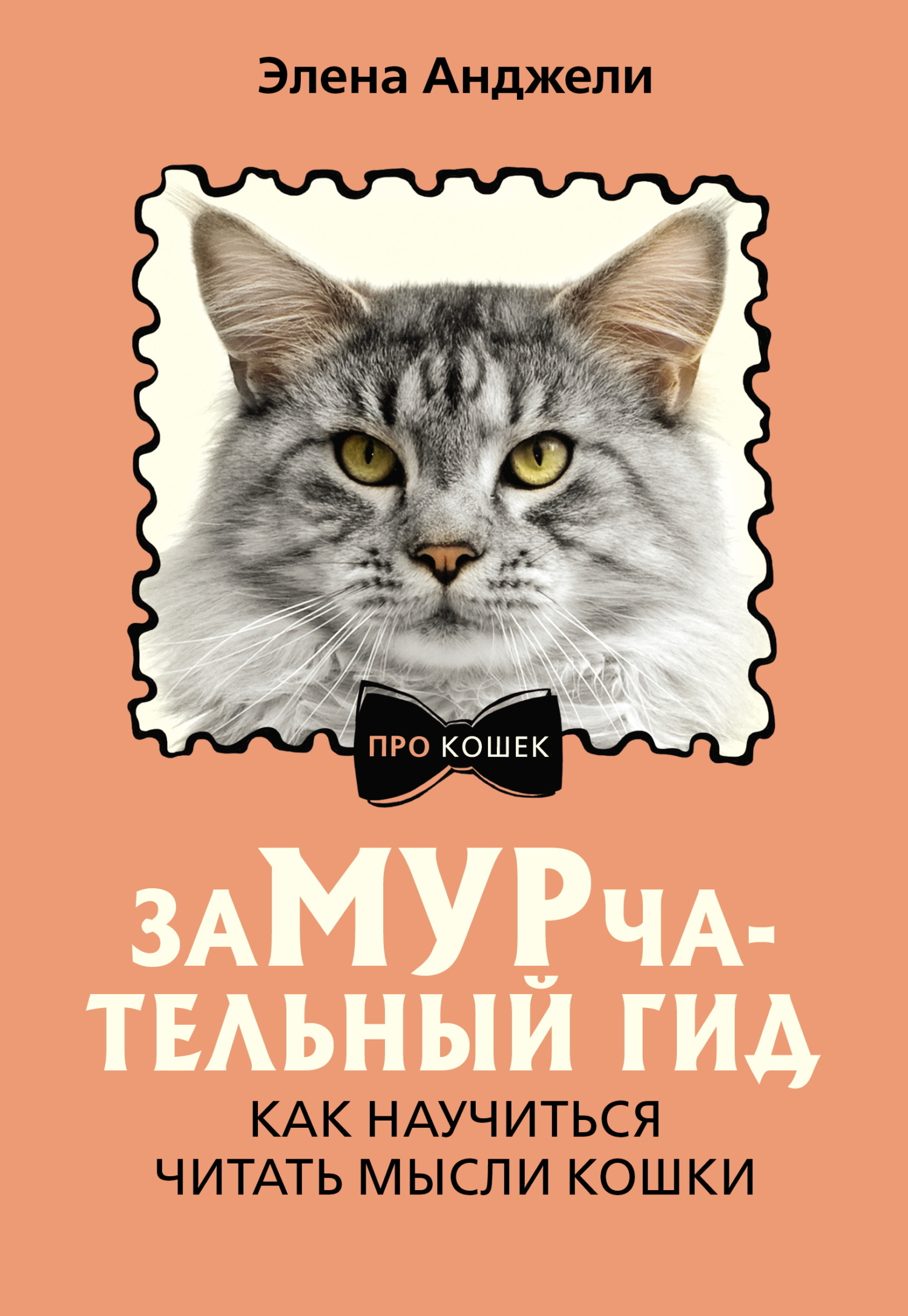 ЗаМУРчательный гид. Как научиться читать мысли кошки